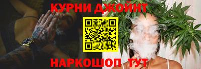 стаф Дубна