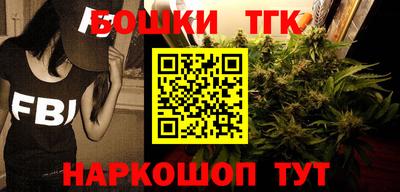 стаф Дубна